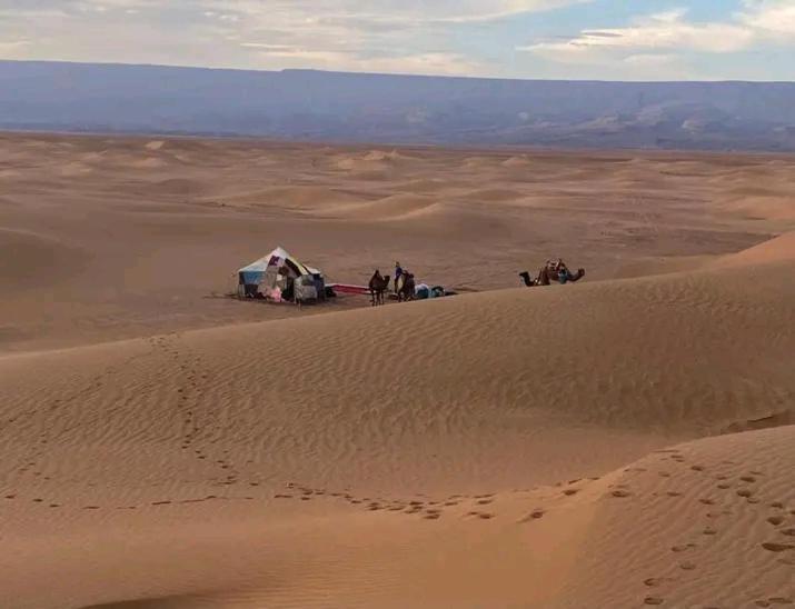 Organisation Des Excursions & Bivouac Dans Le Desert Foum Zguid Zimmer foto