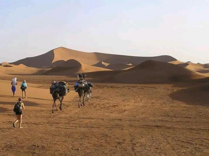 Organisation Des Excursions & Bivouac Dans Le Desert Foum Zguid Exterior foto